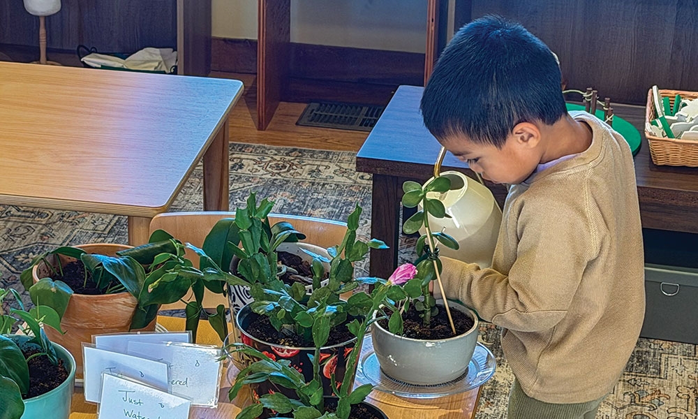 Montessori school opens this fall at St. John Neumann in Austin