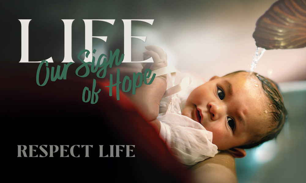 Life, Our Sign of Hope