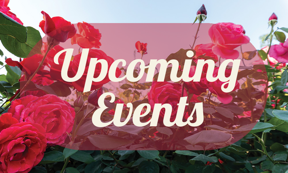 upcoming events
